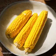 Easy Corn on the Cob How Long to Cook it Perfectly